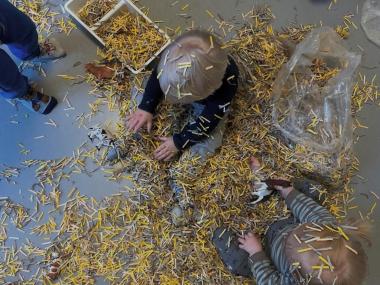 Børn der leger og sanser